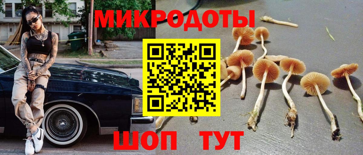 Псилоцибиновые грибы мухоморы Протвино